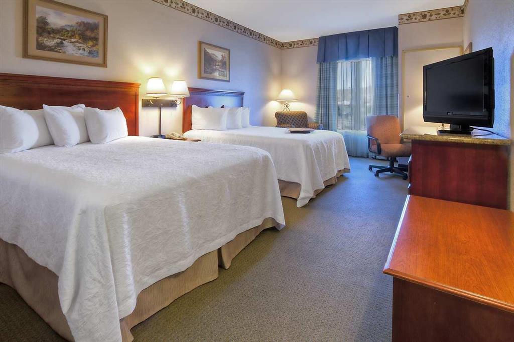 Hampton Inn - Great Falls Værelse billede